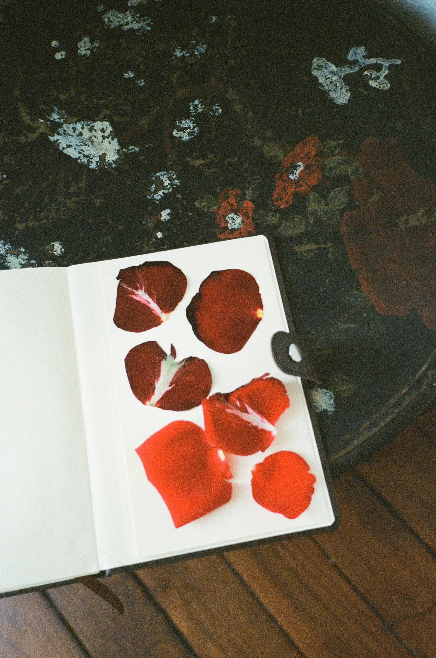 Personal photograph by Evie Warnes.