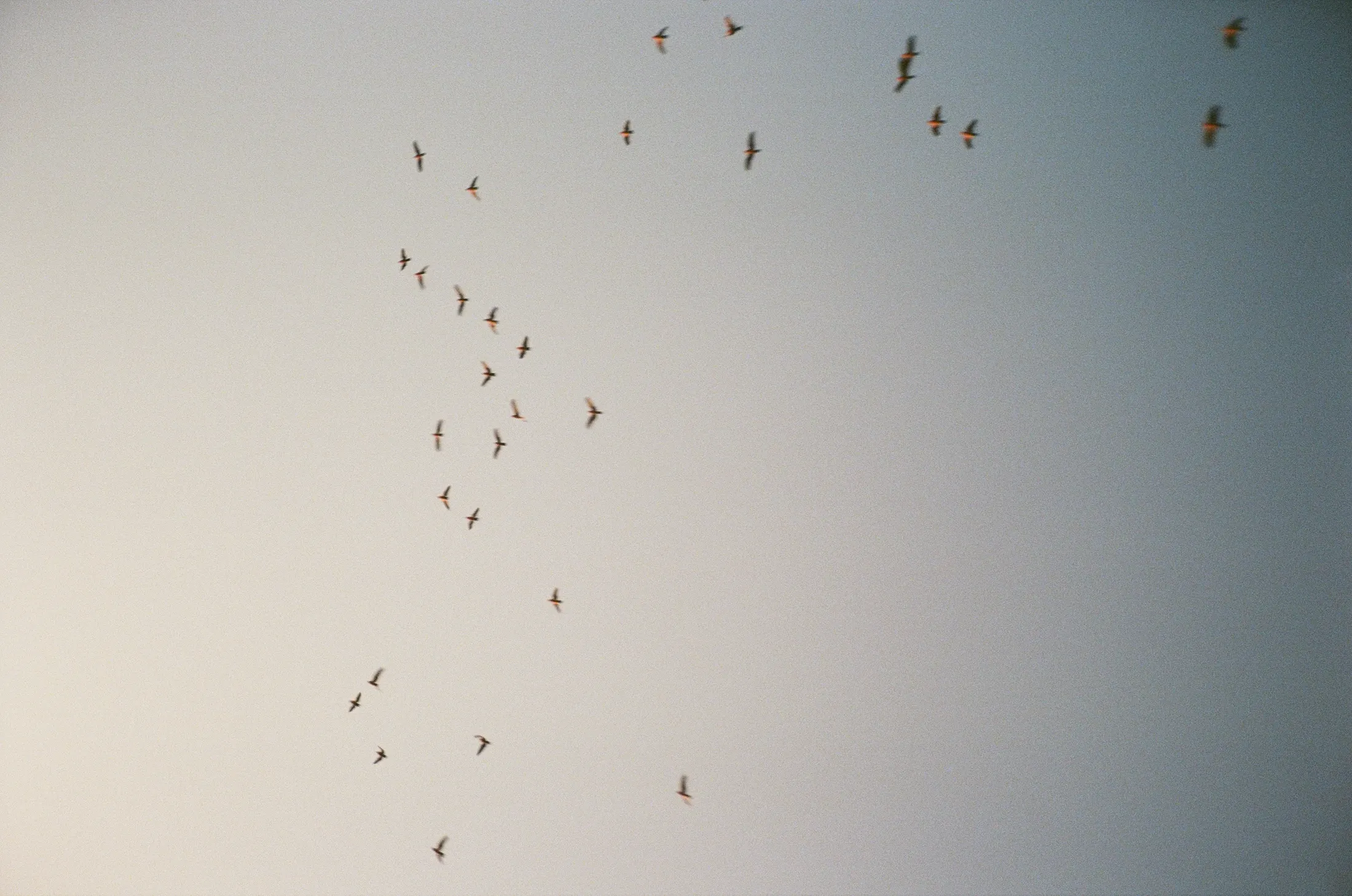 Personal photograph by Evie Warnes.