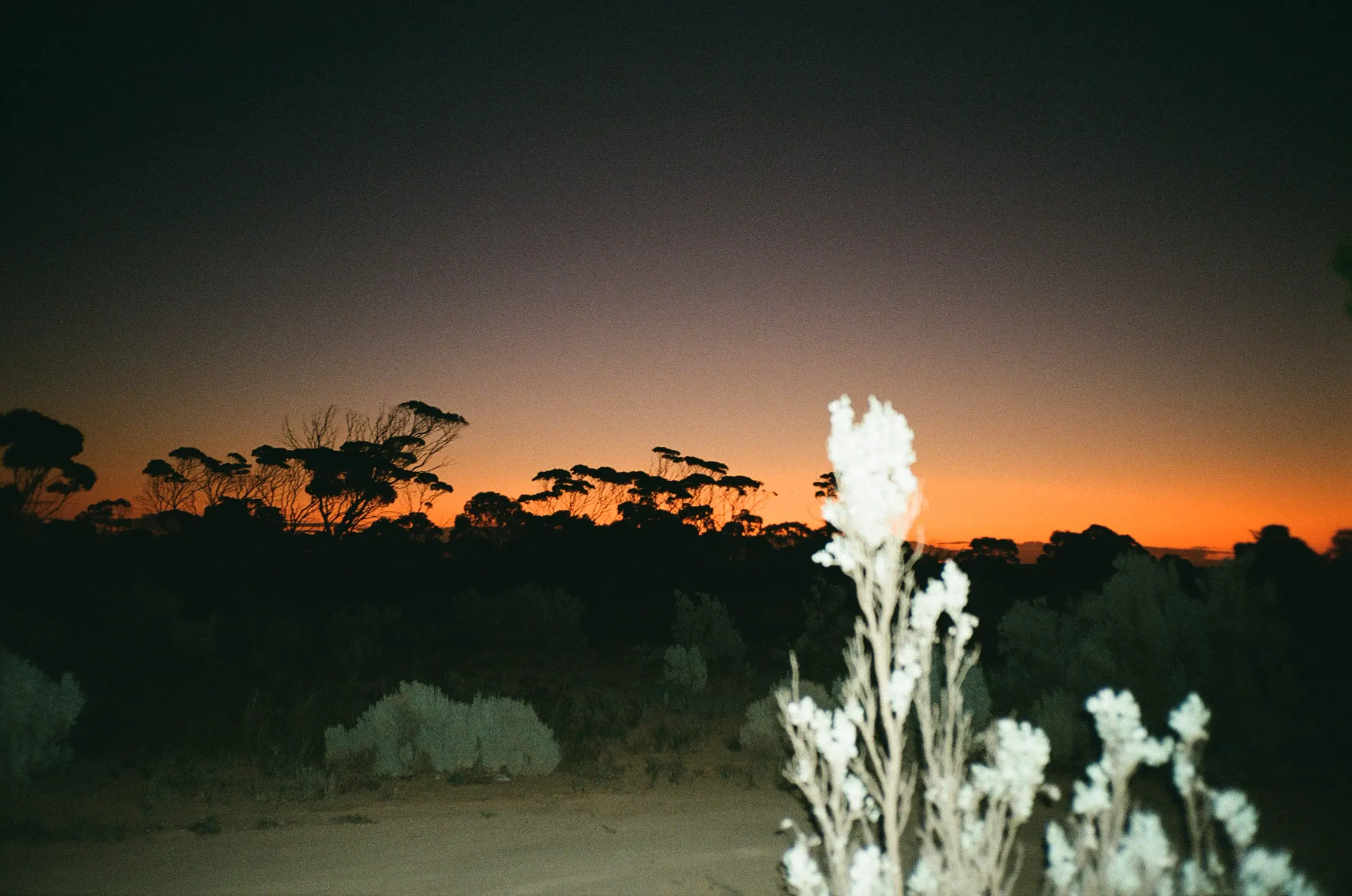 Personal photograph by Evie Warnes.