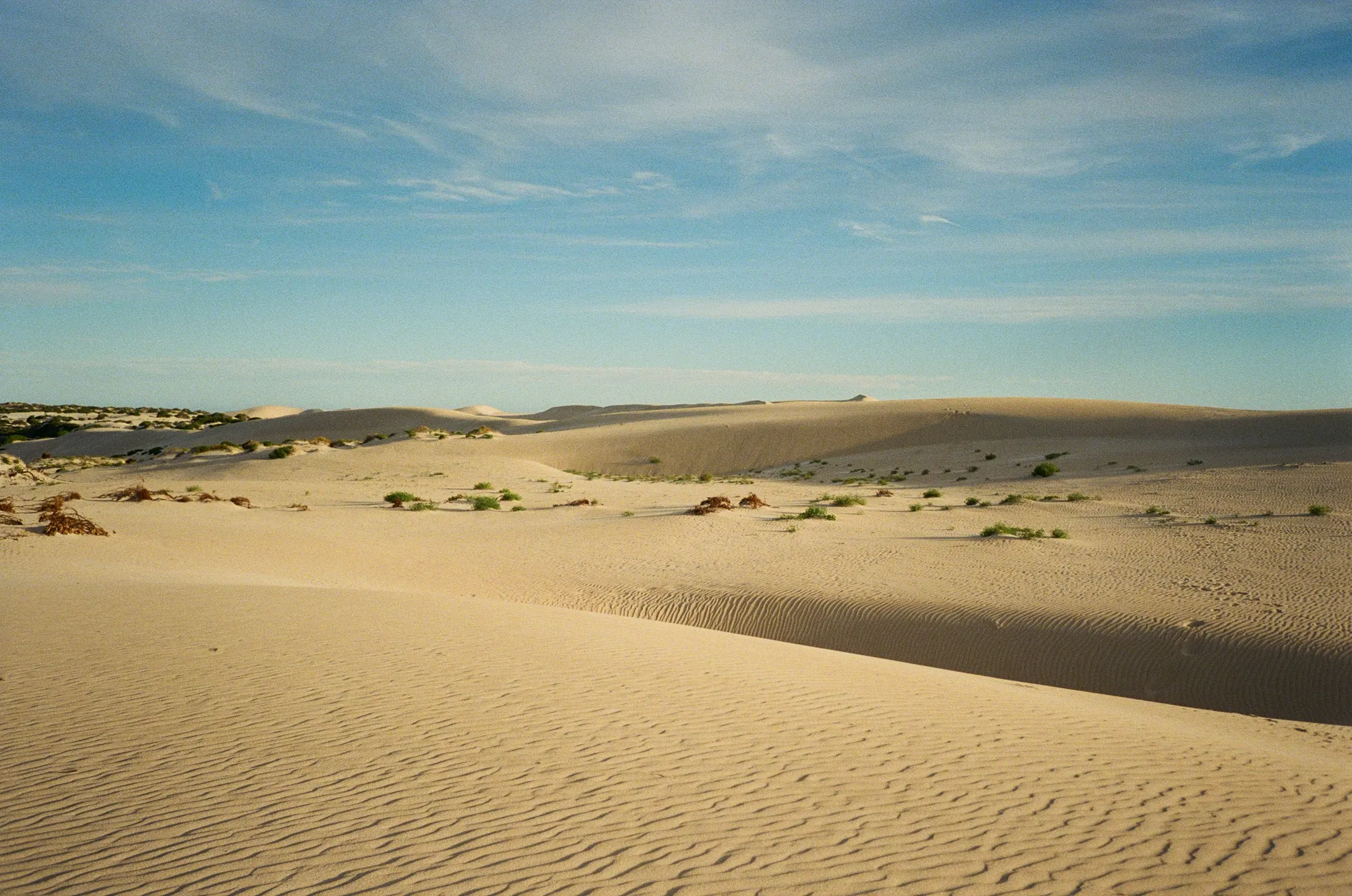 Personal photograph by Evie Warnes.