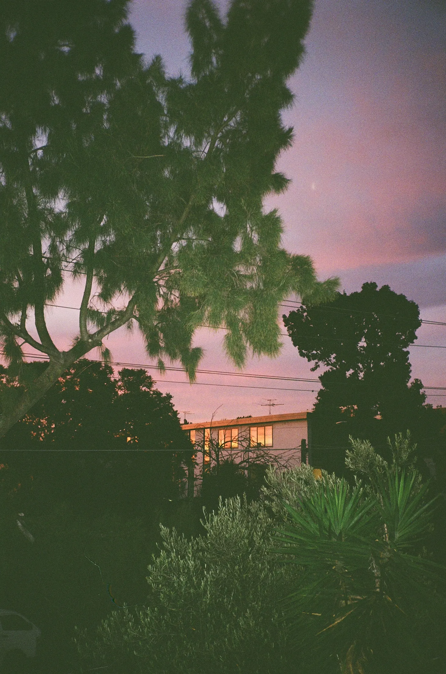 Personal photograph by Evie Warnes.